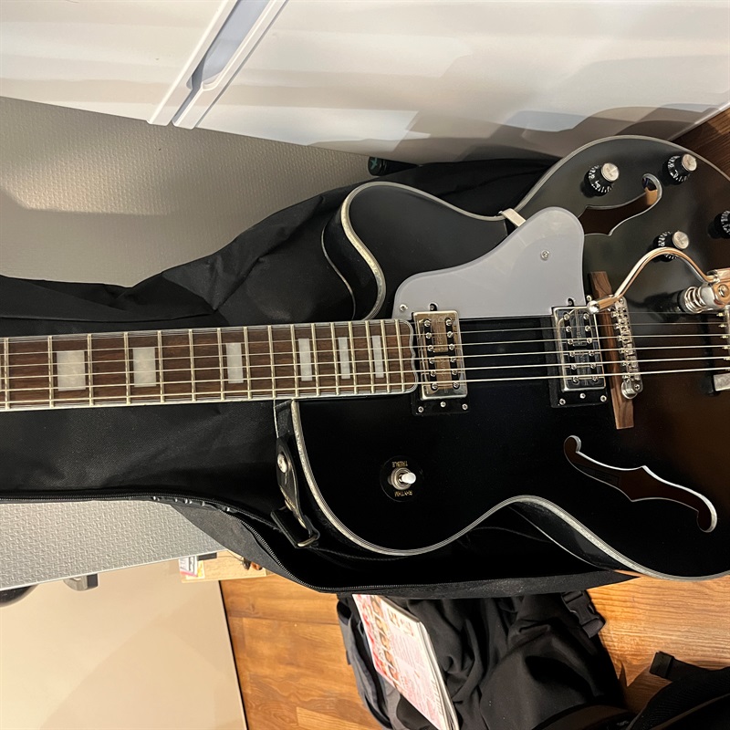 Epiphone Emperor Swingsterの画像